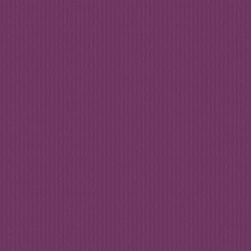 plottiX 401039, Papier, Feige, 30,5 x 30,5cm von plottiX