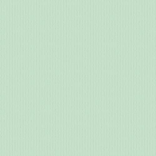 plottiX 401043, Papier, Minze, 30,5 x 30,5cm von plottiX