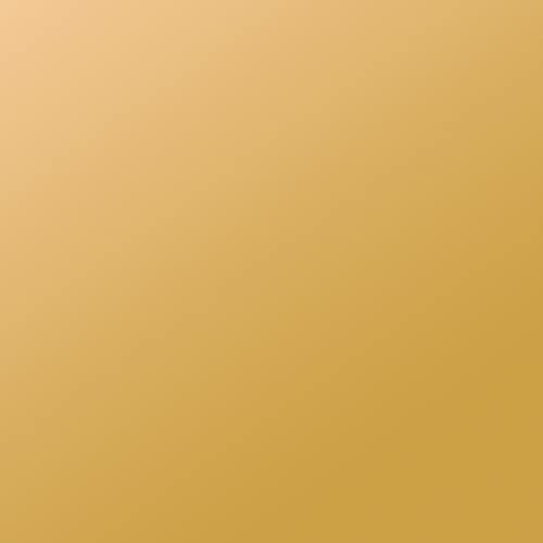 plottiX PL0101324 Aufbügelfolie, Gold, 32 x 50cm plottiX PL0101324 Aufbügelfolie, Gold, 32 x 50cm von plottiX