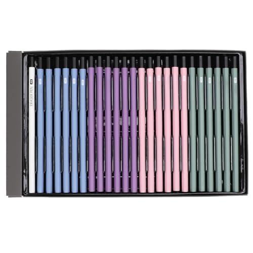 plplaaoo 24 PCs HB -Stifte mit Radiergummi -Stift -Holztestifte zum Zeichnen des Skizzierens zum Zeichnen von Doodling von plplaaoo