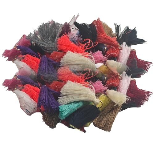 pson 110 Stück bunte Mini-Quasten mit goldenem Sprungring, 3 cm, kleine Quasten für Schmuckherstellung, Ohrringzubehör, Bastelarbeiten, Dekorationen pson 110 Stück bunte Mini-Quasten mit goldenem Sprungring, 3 cm, kleine Quasten für Schmuckherstellung, Ohrringzubehör, Bastelarbeiten, Dekorationen von pson