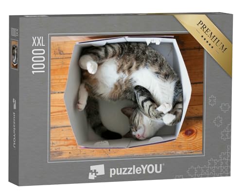 Puzzle 1000 Teile XXL „Gestreifte schlafende Katze, Pappschachtel als Bett“ – aus der Puzzle-Kollektion Katzen-Puzzles von puzzleYOU