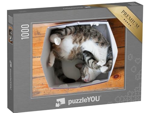 puzzleYOU: Puzzle 1000 Teile „Gestreifte schlafende Katze, Pappschachtel als Bett“ – aus der Puzzle-Kollektion Katzen-Puzzles puzzleYOU: Puzzle 1000 Teile „Gestreifte schlafende Katze, Pappschachtel als Bett“ – aus der Puzzle-Kollektion Katzen-Puzzles von puzzleYOU