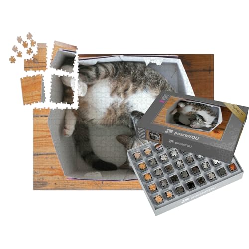 puzzleYOU: SMART Sorted® | Puzzle 1000 Teile leicht gemacht „Gestreifte schlafende Katze, Pappschachtel als Bett“ – aus der Puzzle-Kollektion Katzen-Puzzles von puzzleYOU