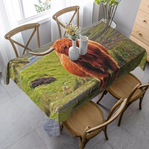 Rechteckige Tischdecke aus Polyester, staubdicht, knitterfrei, für Esszimmer, Partys im Innen- und Außenbereich.Braunes Hochlandrind Rechteckige Tischdecke aus Polyester, staubdicht, knitterfrei, für Esszimmer, Partys im Innen- und Außenbereich.Braunes Hochlandrind von qrESONES