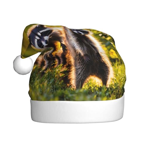 Weihnachtsmütze mit niedlichem Waschbär-Aufdruck, für Erwachsene, Damen, Herren, Weihnachtsmütze für Neujahr, festliche Party Weihnachtsmütze mit niedlichem Waschbär-Aufdruck, für Erwachsene, Damen, Herren, Weihnachtsmütze für Neujahr, festliche Party von rannsut