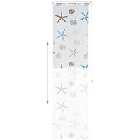 relaxdays Duschrollo OCEAN Muscheln, Seesterne 60,0 x 240,0 cm relaxdays Duschrollo OCEAN Muscheln, Seesterne 60,0 x 240,0 cm von RELAXDAYS