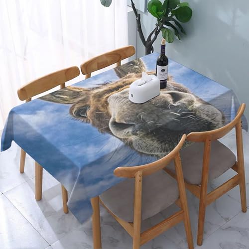 Garten Tischdecken Rechteckig, Tier Esel Blauer Himmel Wolke,Fleckschutz Wasserdicht Tischtuch für Draußen Esszimmer,Küche,Garten,Party,Hochzeiten oder Haushalt 137x183cm von reyawdf