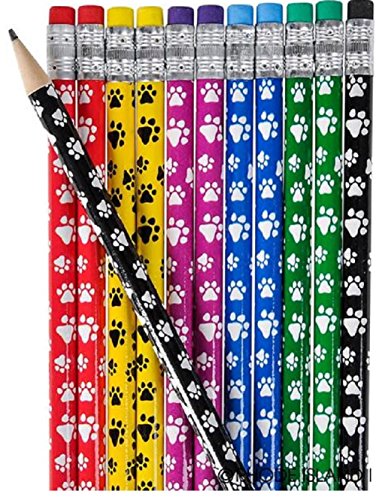 Rhode Island Novelty Paw PNT Pencils Pack of 48 von rhode island novelty