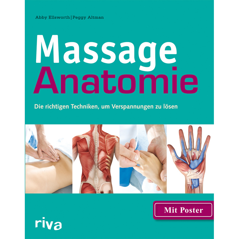 Massage-Anatomie, M. Poster - Abby Ellsworth, Peggy Altman, Kartoniert (TB) von riva Verlag
