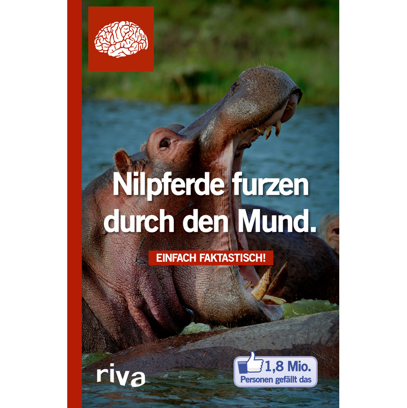 Nilpferde Furzen Durch Den Mund, Kartoniert (TB) von riva Verlag