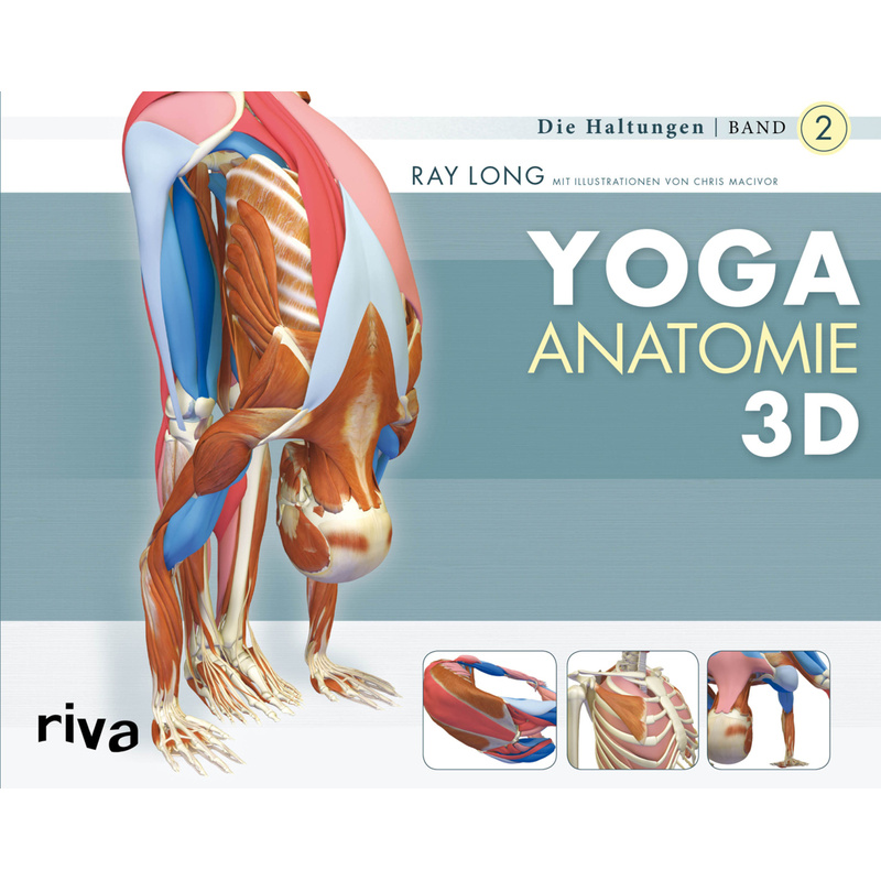 Yoga-Anatomie 3D - Ray Long, Kartoniert (TB) von riva Verlag