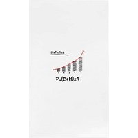rocada Whiteboard Skin 108,0 x 204,0 cm weiß Stahl von rocada
