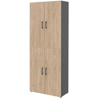 röhr Aktenschrank direct.office, 859H651000 hickory, anthrazit 5 Fachböden 80,0 x 33,5 x 212,5 cm röhr Aktenschrank direct.office, 859H651000 hickory, anthrazit 5 Fachböden 80,0 x 33,5 x 212,5 cm von röhr