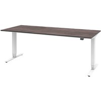 röhr Imperia elektrisch höhenverstellbarer Schreibtisch quarzit rechteckig, T-Fuß-Gestell weiß 180,0 x 80,0 cm röhr Imperia elektrisch höhenverstellbarer Schreibtisch quarzit rechteckig, T-Fuß-Gestell weiß 180,0 x 80,0 cm von röhr