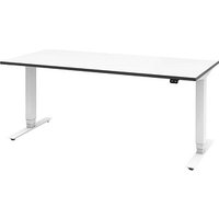 röhr Imperia elektrisch höhenverstellbarer Schreibtisch weiß rechteckig, T-Fuß-Gestell weiß 160,0 x 80,0 cm röhr Imperia elektrisch höhenverstellbarer Schreibtisch weiß rechteckig, T-Fuß-Gestell weiß 160,0 x 80,0 cm von röhr