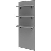 röhr Wandregal quantum grau 80,0 x 30,0 x 220,5 cm röhr Wandregal quantum grau 80,0 x 30,0 x 220,5 cm von röhr