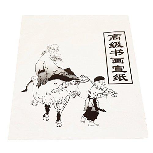 ROSENICE Reispapier Xuan Papier Chinesische Kalligraphie Sumi Malerei Praxis 30 Blätter von rosenice