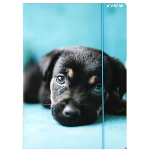 HUND STARPAK Laminierte Schulmappe mit Gummiband A4 (Hund A) von sarcia.eu