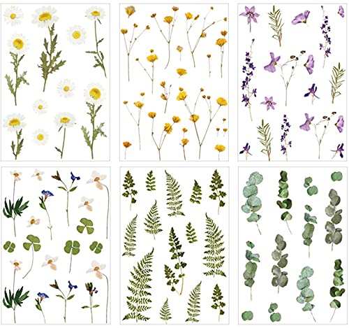 6 Blatt Pflanzen Blumen Sticker Set Transparent Blumen Sticker Wetterfest Aufkleber Blumen Scrapbooking Aufkleber für Fotoalbum Stickerbuch Stickeralbum Tagebuch Notizbuch Kalender Dekoration von scalingscal