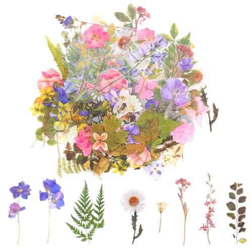 simarro 160 Stück Blumen Scrapbooking Aufkleber, Bunte Transparente Pflanzen Aufkleber Blumenaufkleber Wasserfeste Vintage Sticker für Scrapbook Fotoalbum Tagebücher Karten Handyhüllen (80 Stile) von simarro
