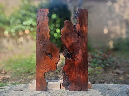 Live Edge Brown Red Olive Wood Slab for DIY and Epoxy River Table, Ready to be Resin Table, Cleared Varnished Wood Slab for Epoxy Resin Project (Brown) von skilled hands
