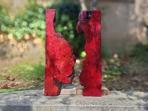 Live Edge Brown Red Olive Wood Slab for DIY and Epoxy River Table, Ready to be Resin Table, Cleared Varnished Wood Slab for Epoxy Resin Project (Red) von skilled hands