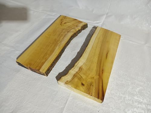 Live Edge Olive Root Slab Set for DIY River Table, Ready to be Resin Table, Cleared Wood Slab for Epoxy Resin Wood Project (40x60cm) von skilled hands