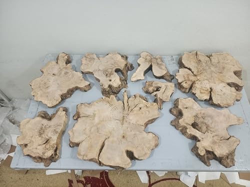 Live Edge Olive Root Slab Set for DIY Vertical River Table, Ready to be Resin Table, Cleared Wood Slab for Epoxy Resin Projects (40x60cm) von skilled hands