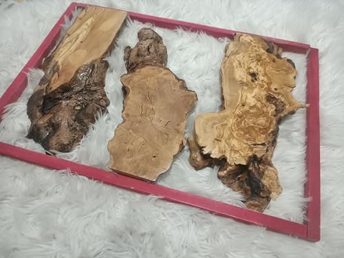 Live Edge Olive Root Slab Set for DIY Vertical River Table, Ready to be Resin Table, Cleared Wood Slab for Epoxy Resin Projects (60x120cm) von skilled hands