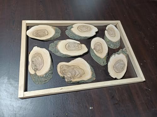 Live Edge Olive Root Slab for DIY and Epoxy Table, Ready to be Resin Table, Cleared Wood Slab for Epoxy Resin (40x50cm) von skilled hands