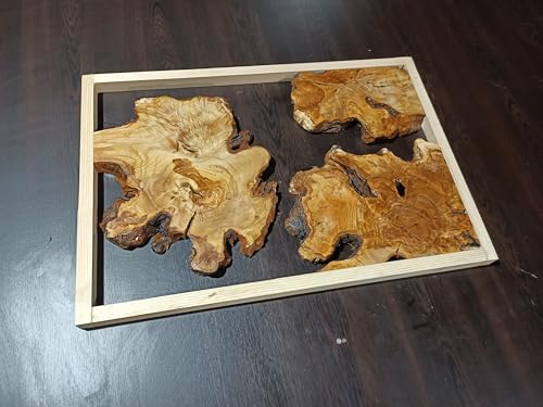 Live Edge Olive Root Slabs Set for DIY Epoxy Projects, Ready to be Resin Table, Cleared Wood Slabs for Epoxy Resin Project 40x60 (Thickness 2.5cm) von skilled hands