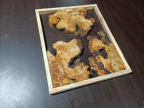 Live Edge Olive Root Slabs Set for DIY Epoxy Projects, Ready to be Resin Table Projects 40x50 (Thickness 2.5cm) von skilled hands