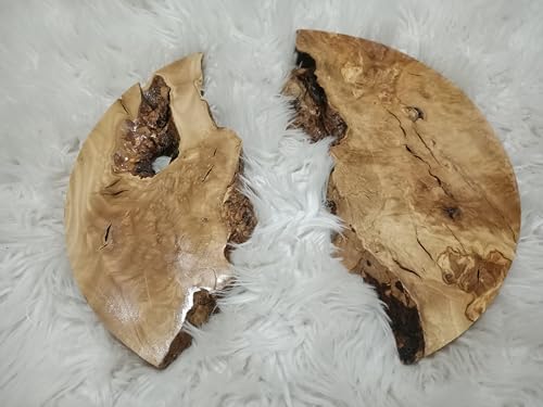 Live Edge Olive Wood Round Slab 16 inches for DIY and Epoxy River Table, Cuttıng Board, barstool Ready to be Resin Project (Thickness 4.2cm) von skilled hands