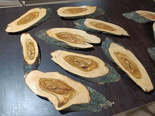 Live Edge Olive Wood Slab Set in 6 Pieces for DIY and Epoxy River Table, Ready to be Resin Table Project (1 Set(6 pcs)) von skilled hands