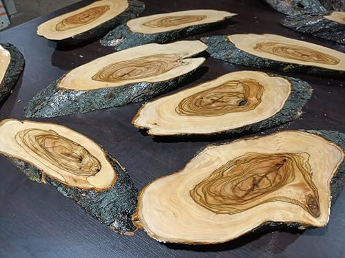 Live Edge Olive Wood Slab Set in 6 Pieces for DIY and Epoxy River Table, Ready to be Resin Table Project (3 Sets(18 pcs)) von skilled hands