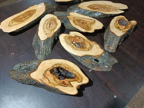 Live Edge Varnished Olive Branches DIY Epoxy Projects, Ready to be Resin Table Projects (Thickness 2.5cm) von skilled hands