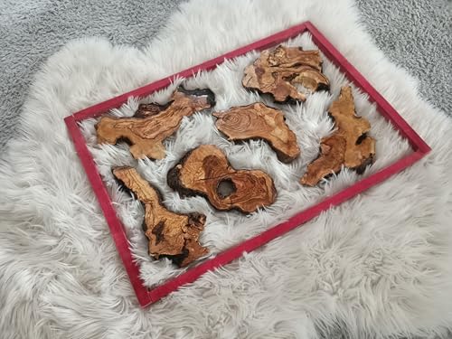 Live Edge Varnished Olive Wood Slabs Set 6-10-16 Pieces for DIY and Epoxy, Ready to be Resin (16) von skilled hands
