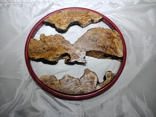 Round Olive Root Slab Set for DIY Epoxy Projects with 3 pieces Varnished (40cm Red Framed) von skilled hands