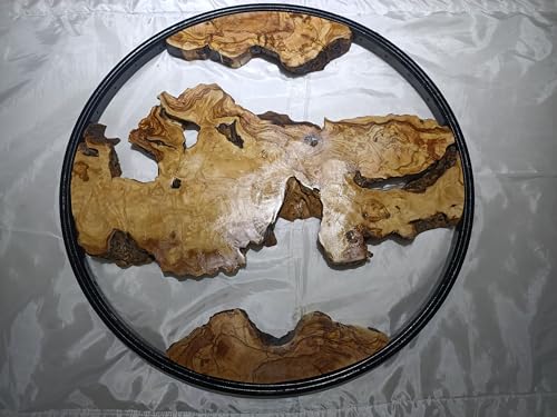Round Olive Root Slab Set for DIY Epoxy Projects with 3 pieces Varnished (60cm Red Framed) von skilled hands