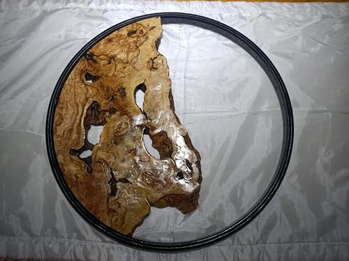 Round Olive Root Slab for DIY Epoxy Projects varnished framed (40cm Unframed) von skilled hands