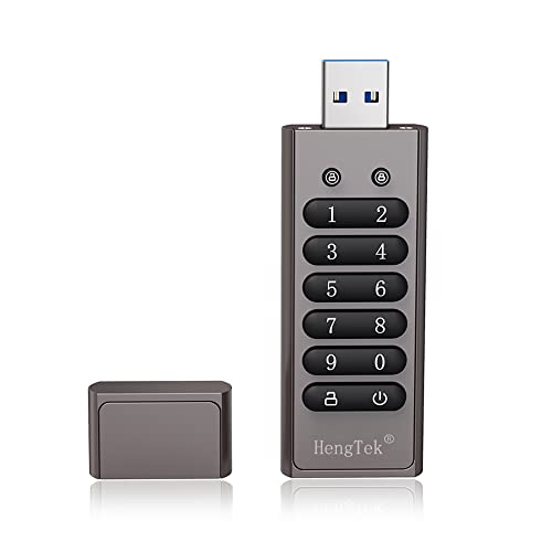 skrskr 64GB 256-Bit verschlüsseltes USB-Laufwerk Passwort Sicheres Flash-Laufwerk USB3.0 U Disk-Unterstützung Reset/Wipe/Auto Lock-Funktion, Grau von skrskr