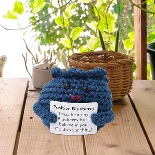 skyrabbiter Handgemachte Blaubeere aus Wolle, Glücksbringer Geschenk und Kreative Puppe, Motivationsgeschenke,Gute Besserung Geschenke,Valentinstag-Geburtstagsgeschenk (A) von skyrabbiter