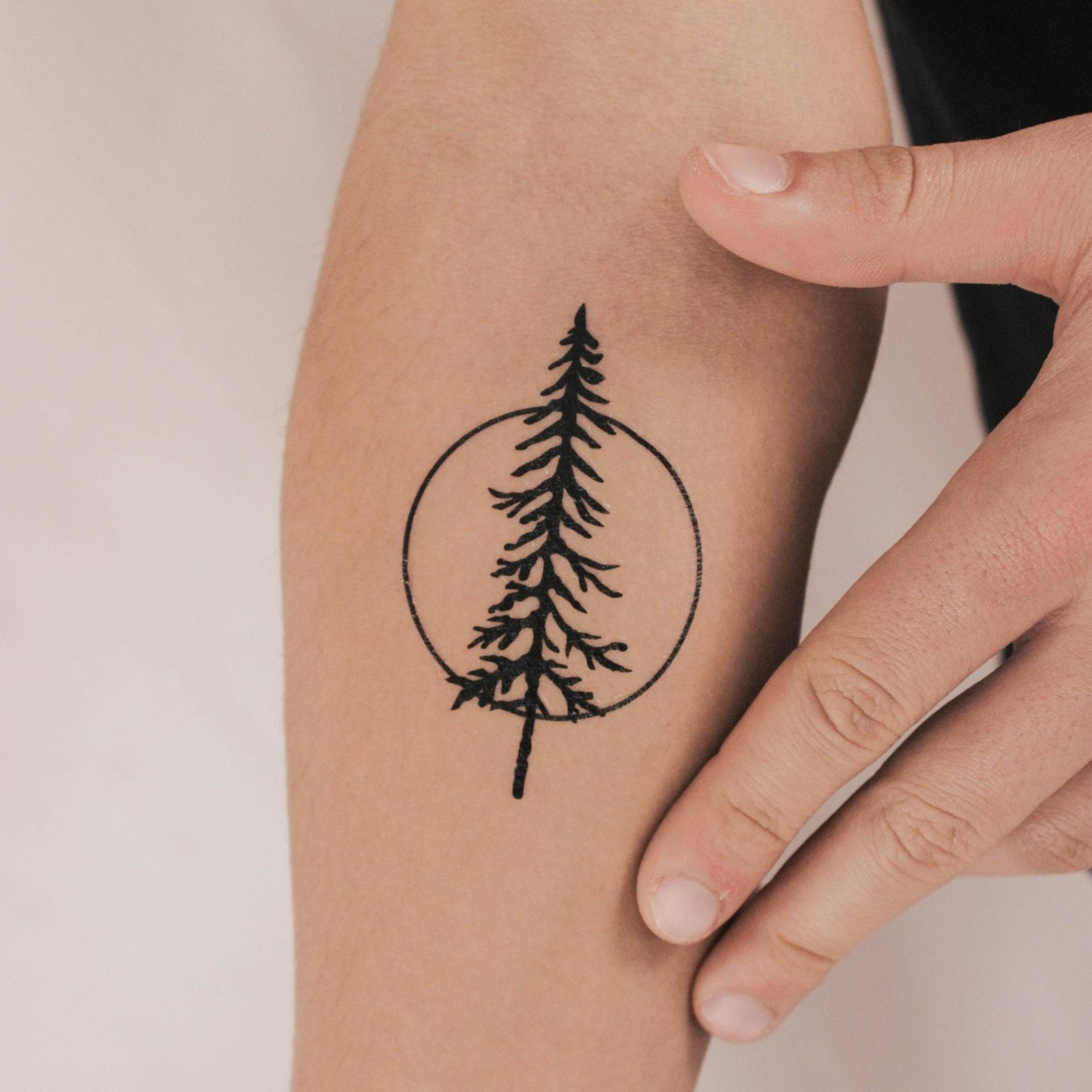 Temporäres Tattoo Mit Kiefernbaum Und Kreis | 3Er-Set von smalltattoos