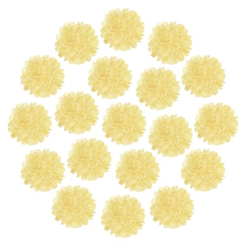 sourcing map Pompons aus Seidenpapier, 25,4 cm, bunt, große Papierblumen, Wanddekorationen für Fiesta, Party, Geburtstag, Hochzeit, Beige, 20 Stück von sourcing map