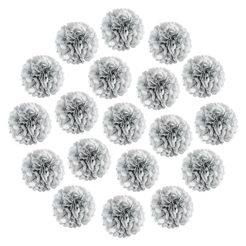 sourcing map Pompons aus Seidenpapier, 25,4 cm, bunt, große Papierblumen, Wanddekorationen für Fiesta, Party, Geburtstag, Hochzeit, silberfarben, 20 Stück von sourcing map