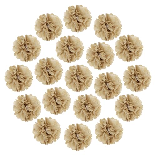 sourcing map Pompons aus Seidenpapier, 35,6 cm, bunt, große Papierblumen, Wanddekorationen für Fiesta, Party, Geburtstag, Hochzeit, Champagnerfarben, 20 Stück von sourcing map