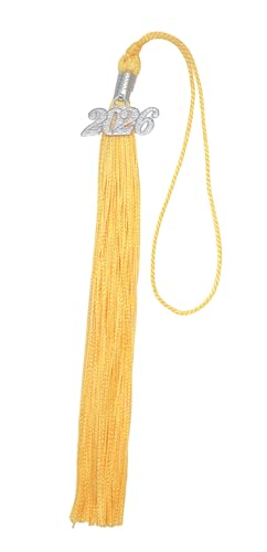 Sowaka Akademische Abschlussquaste mit 2026 Jahr Charm Gold Silber Hängende Anhänger Quaste für Doktor Bachelor Graduate Cap Souvenir Partys Dekoration (Gold, 2026 - Silber Charm) von sowaka