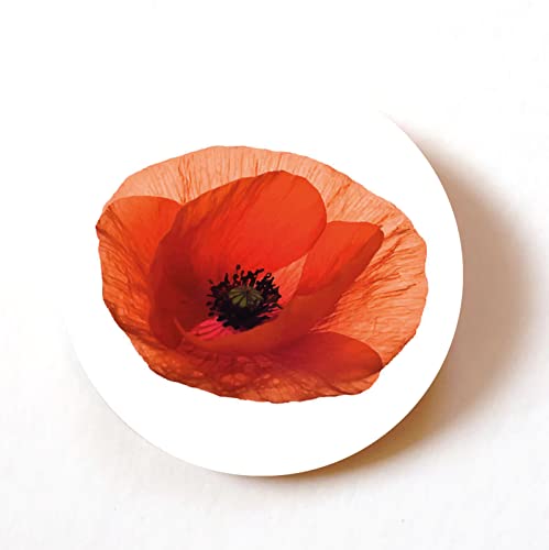 stika.co 24 Papier-Etiketten, Aufschrift "Lest We Forces", rote Mohnblumen, Gedenktag, Armeetag, Kriegshelden, Streitkräfte (1) von stika.co