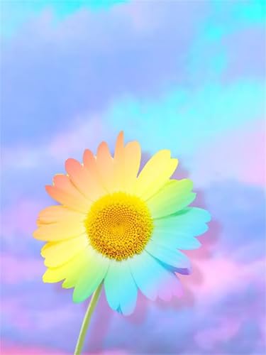 Malen Nach Zahlen Erwachsene Buntes abstraktes Gänseblümchen,DIY Handgemalt Ölgemälde Leinwand Kits für AnfÃnger,mit Pinseln Acrylfarben Paint by Numbers Kits fur Heimdekoration Ohne Rahmen,45x60cm Malen Nach Zahlen Erwachsene Buntes abstraktes Gänseblümchen,DIY Handgemalt Ölgemälde Leinwand Kits für AnfÃnger,mit Pinseln Acrylfarben Paint by Numbers Kits fur Heimdekoration Ohne Rahmen,45x60cm von taesdvry